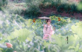 心醉迷，梦醉迷。叶铺池，花开池。