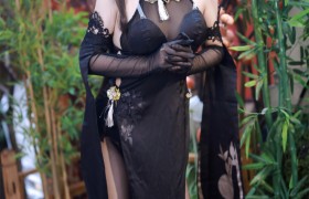 疯猫SS全部作品下载，一位不断耕耘的coser