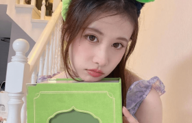 一只小仙若图集欣赏，作品可望而不可即