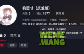 三寸Loli_奶寸：以“绝对领域”为笔，绘就神秘与可爱交织的二次元美学