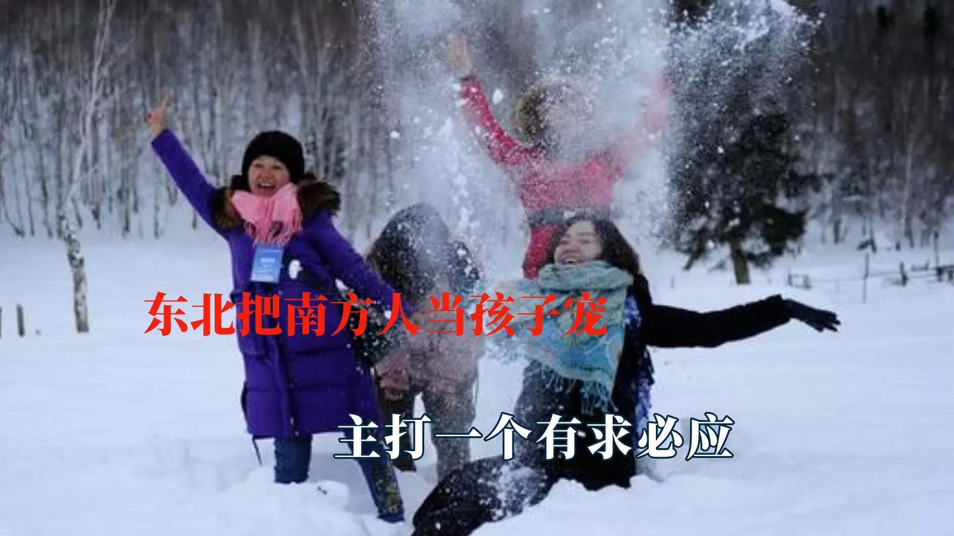南方小土豆是什么梗？南方小土豆勇闯大东北-6